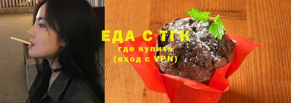индика Вязьма