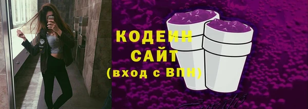 индика Вязьма
