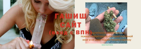 индика Вязьма