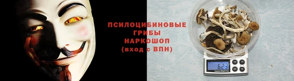 гашик Вязники