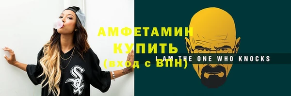 индика Вязьма