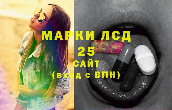 спайс Вяземский