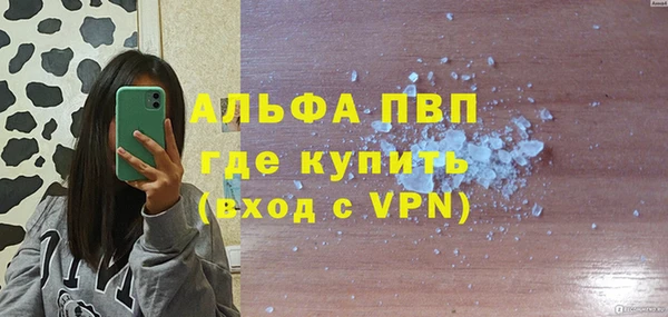 индика Вязьма