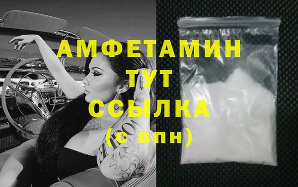 индика Вязьма