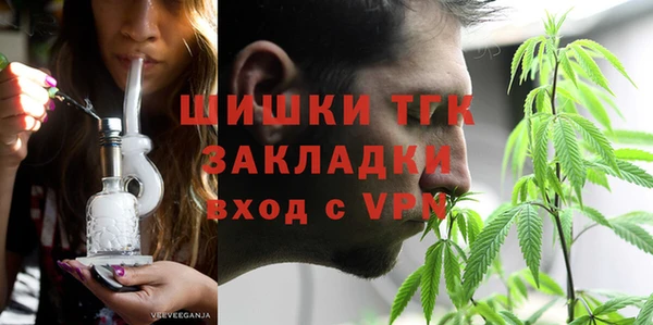 индика Вязьма
