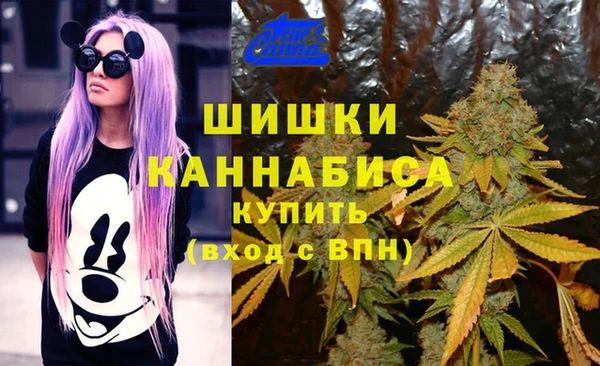 индика Вязьма