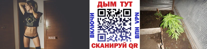 Каннабис Bruce Banner  купить   Куртамыш 